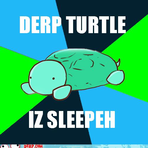 Derp Turtle Cheezburger Funny Memes Funny Pictures