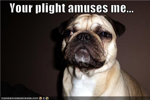 Your plight - I Has A Hotdog - Dog Pictures - Funny pictures of dogs ...