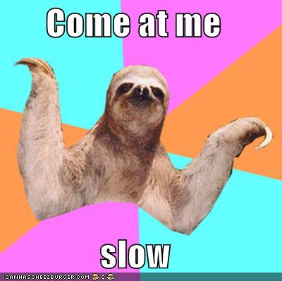 Memebase - sloth - Page 4 - All Your Memes In Our Base - Funny Memes ...