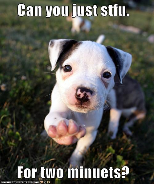 Can you I Has A Hotdog Dog Pictures Funny pictures of dogs Dog Memes Puppy pictures doge