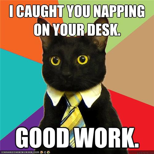 MemeCats Business Cat Needs You Perpetually WellRested! I Can Has