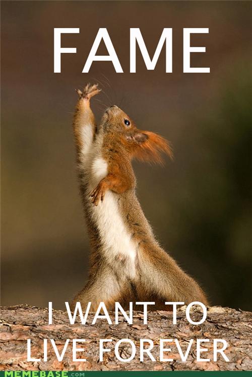 Fame Squirrel - Memebase - Funny Memes