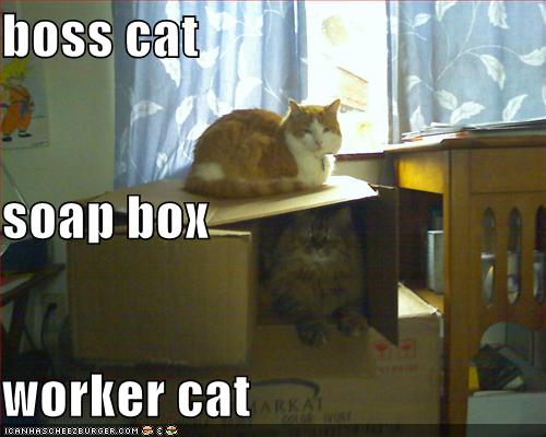 Free Dating Sites >> boss cat soap box worker cat - Cheezburger - Funny Memes ... Free Dating Sites >> boss cat soap box worker cat - Cheezburger - Funny Memes ...
