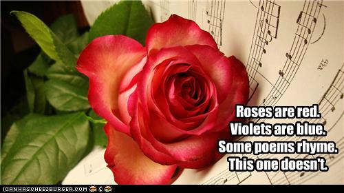 Roses are red. Violets are blue. Some poems rhyme. This one doesn't. - Cheezburger - Funny Memes 