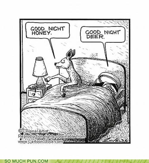 Puns sleeping Funny Puns Pun Pictures Cheezburger