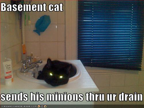 Send cat. Basement Cat. Basement for Cats. De-Leo Basement Cats. Ikea Monster in the Basement meme.