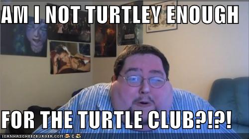 am-i-not-turtley-enough-for-the-turtle-club-cheezburger-funny