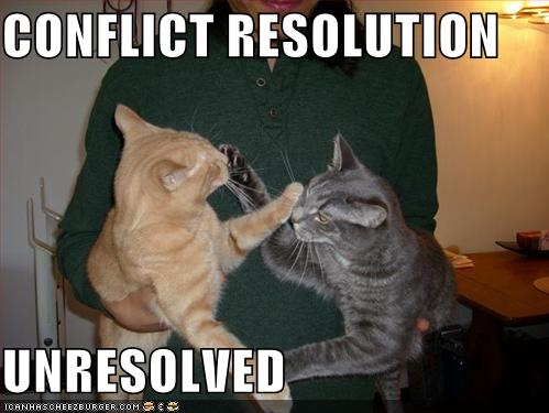 CONFLICT RESOLUTION UNRESOLVED - Cheezburger - Funny Memes | Funny Pictures