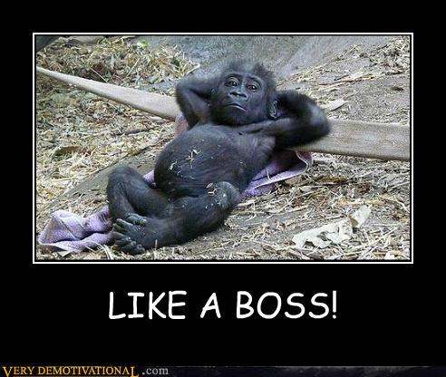 bosses be like