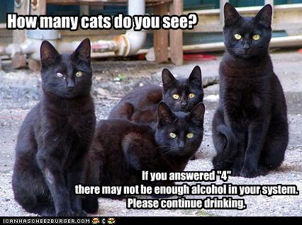 Sobriety Test - I Can Has Cheezburger?