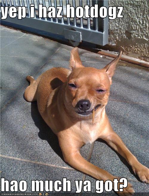 I Has A Hotdog sales Funny Dog Pictures Dog Memes Puppy