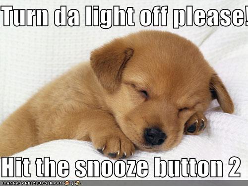 Turn da light off please! Hit the snooze button 2 - I Has A Hotdog ...