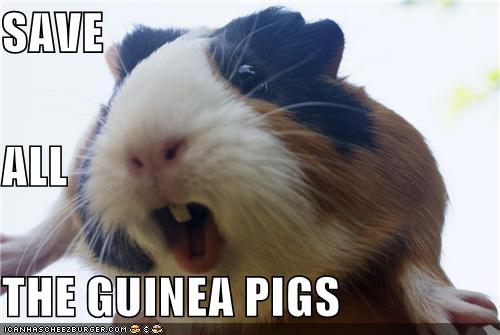 save-all-the-guinea-pigs