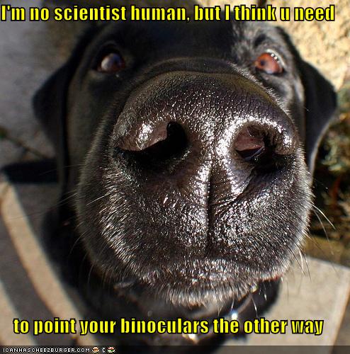 I'm no scientist - I Has A Hotdog - Dog Pictures - Funny pictures of ...