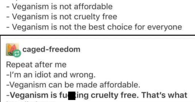 Spicy Tumblr Thread About Vegans Not Living Cruelty Free Is Sure To ...