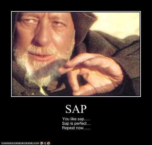 SAP - Cheezburger - Funny Memes | Funny Pictures