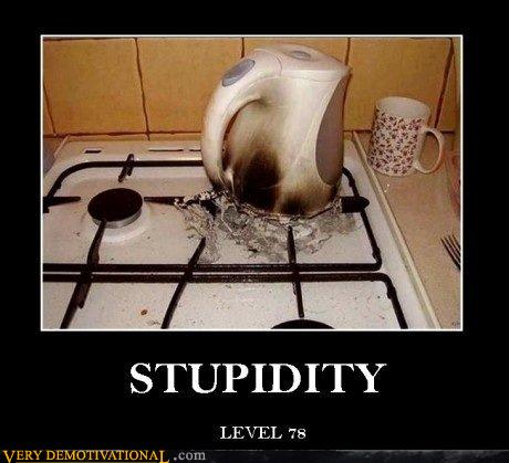 STUPIDITY - Very Demotivational - Demotivational Posters | Very