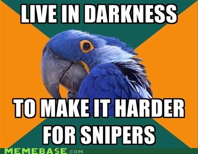 Paranoid Parrot: Crouching When Moving Past a Window - Memebase - Funny ...