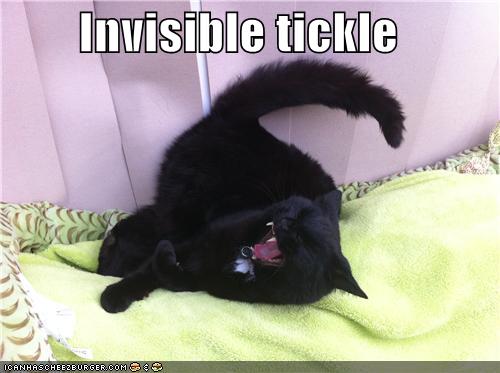 Invisible tickle - I Can Has Cheezburger?