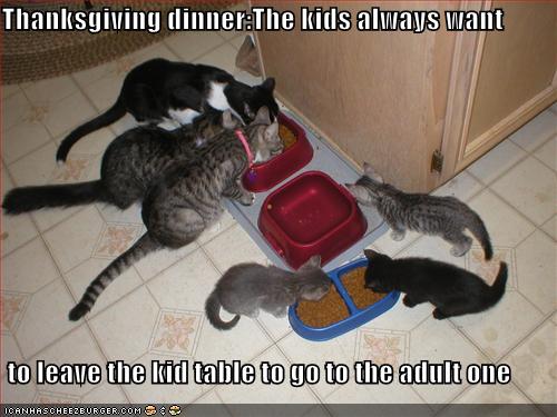 Thanksgiving dinner:The kids always want to leave the kid table to go to the adult one