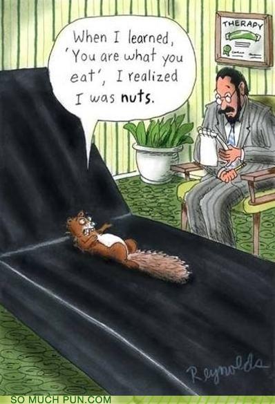 Puns - squirrel - Funny Puns - Pun Pictures - Cheezburger