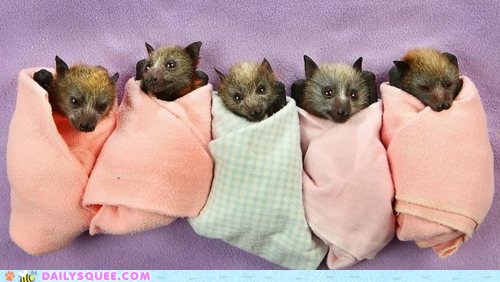 Bat discount swaddle blanket