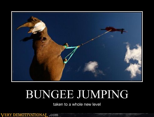 BUNGEE JUMPING - Very Demotivational - Demotivational Posters | Very ...