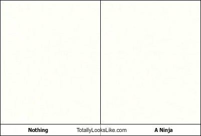 Nothing Totally Looks Like A Ninja - Totally Looks Like