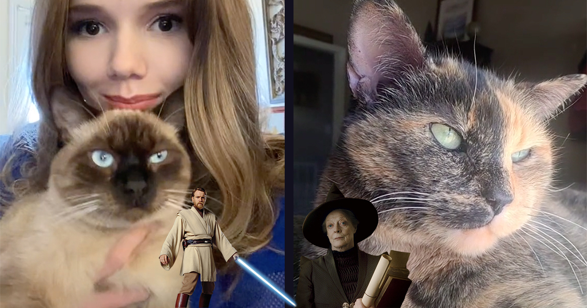 The Nerdiest Pet Names Are Being Shared On TikTok And Their 