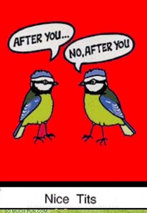 Puns bird Funny Puns Pun Pictures Cheezburger