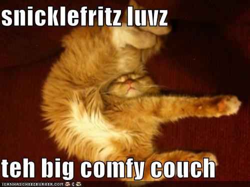 I Can Has Cheezburger