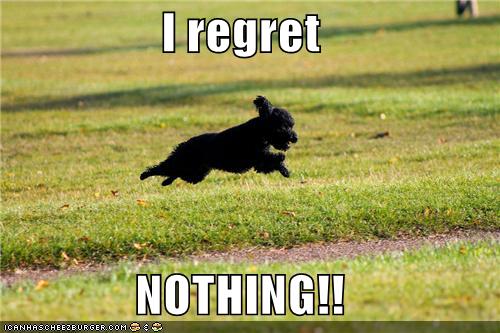 I regret NOTHING!! - I Has A Hotdog - Dog Pictures - Funny pictures of ...