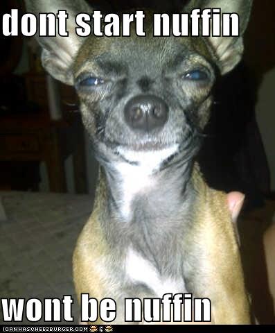 dont start nuffin - I Has A Hotdog - Dog Pictures - Funny pictures of ...