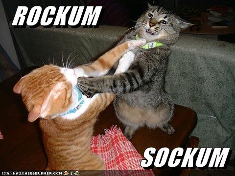 rock um sock em robots