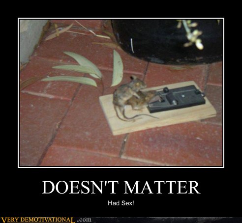 Very Demotivational - mouse trap - Very Demotivational Posters - Start