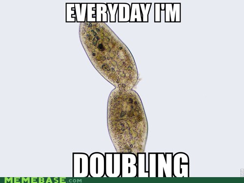 Memebase - cytokinesis - All Your Memes In Our Base - Funny Memes