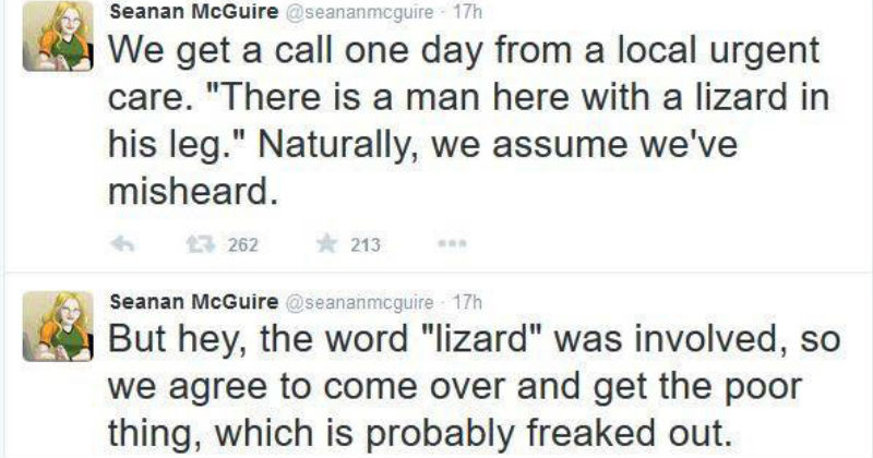 Reptile Rescue Worker Tweets Gruesome Story About Lizard Getting Into