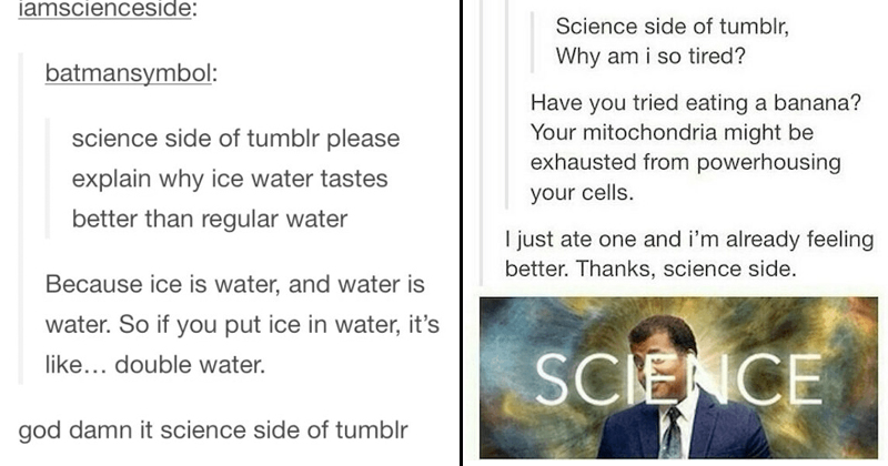 20 Hilarious Gems From The Science Side Of Tumblr - Memebase - Funny Memes