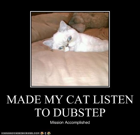 Download MADE MY CAT LISTEN TO DUBSTEP - Cheezburger - Funny Memes ...