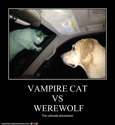 Vampires vs werewolves game