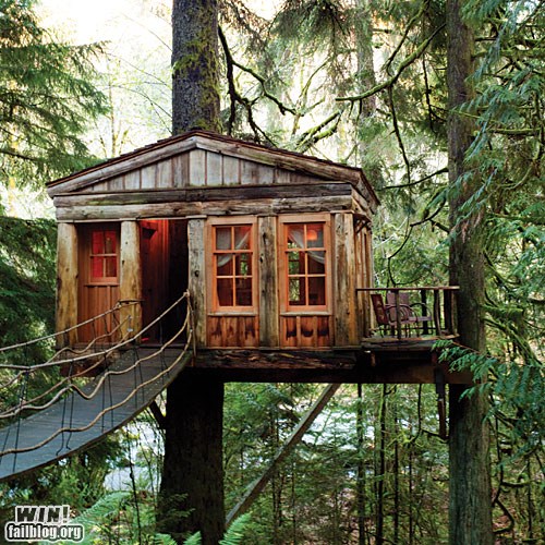 Tree House WIN - WIN! - epic win photos