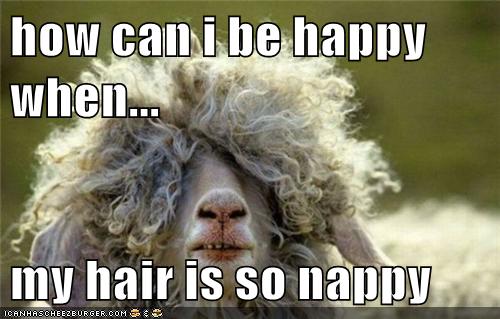 How Can I Be Happy When My Hair Is So Nappy I Can Has
