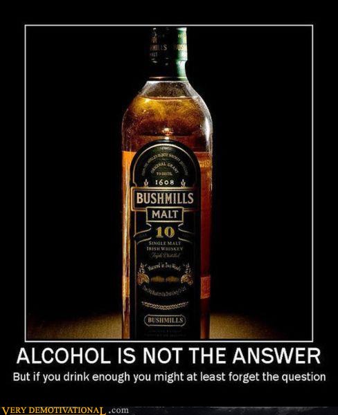 ALCOHOL IS NOT THE ANSWER  Very Demotivational  Demotivational