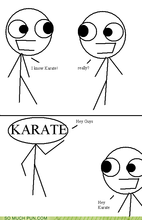 Puns - karate - Funny Puns - Pun Pictures - Cheezburger