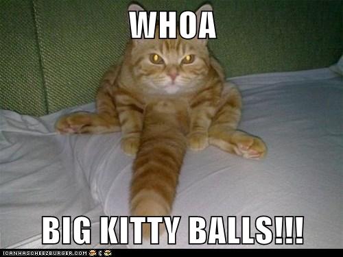 kitty balls