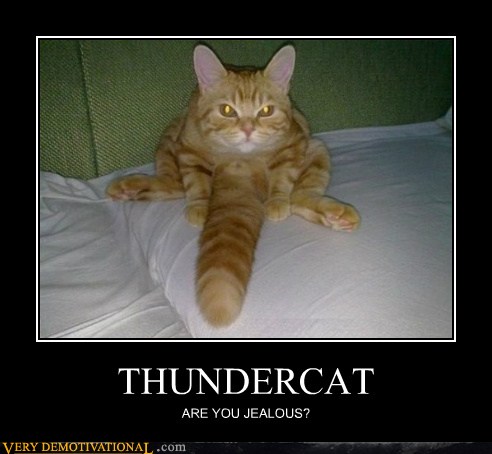 THUNDERCAT - Very Demotivational - Demotivational Posters | Very ...