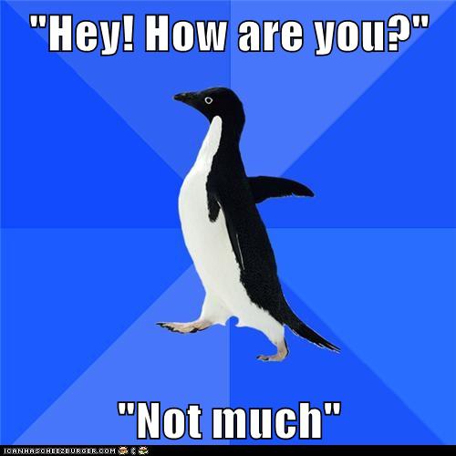 Animal Memes: Socially Awkward Penguin - At Least I Didn't ...