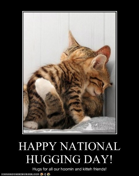 Happy National Hugging Day! - I Can Has Cheezburger?