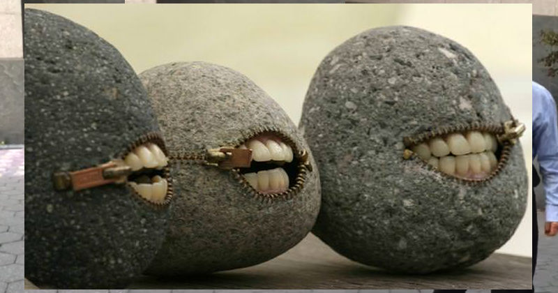 27 Things With Teeth That Shouldn't Have Teeth That'll Disturb You ...