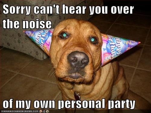 party dog meme